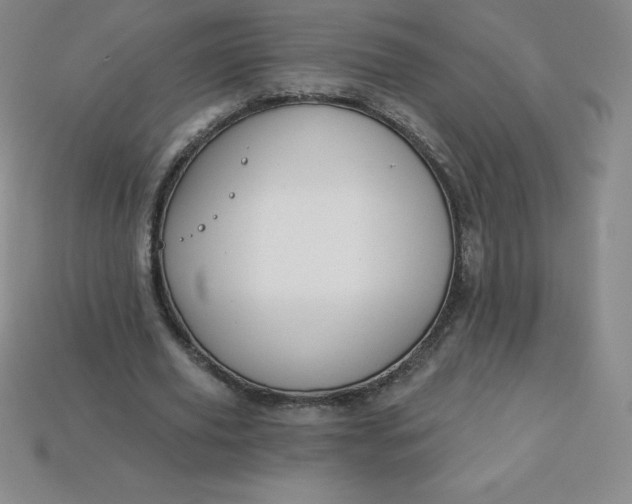 X0000113920629200910090937