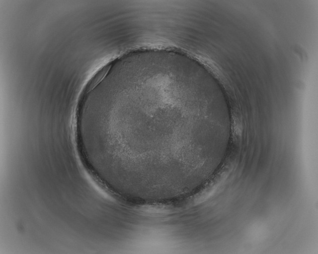X0000113920630200910090937