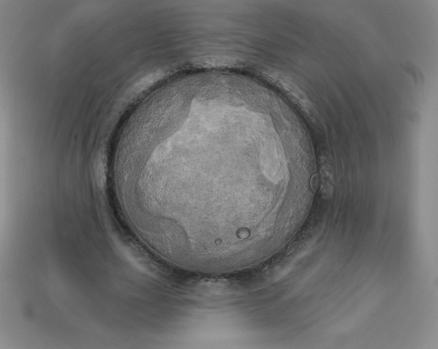 X0000113920631200910090937