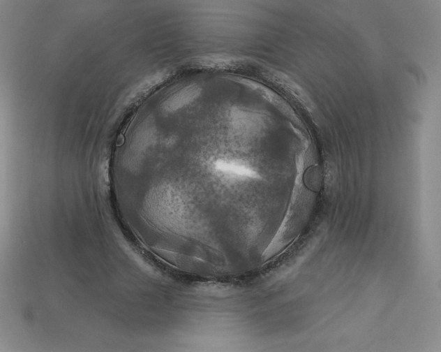 X0000113920633200910090937