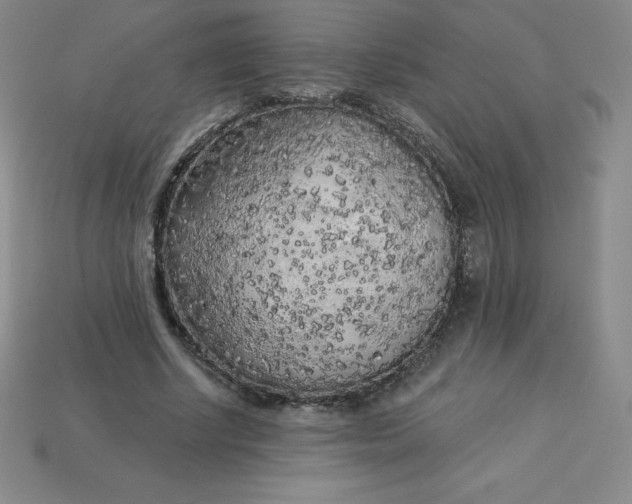 X0000113920634200910090937