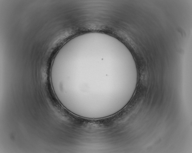 X0000113920635200910090937