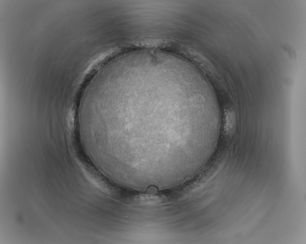 X0000113920636200910090937