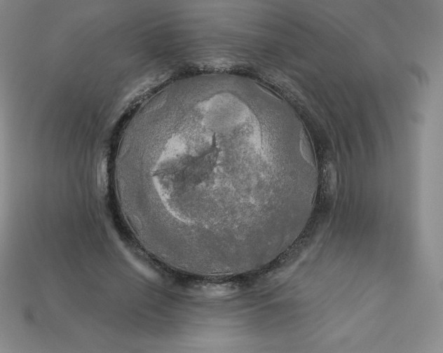 X0000113920638200910090937