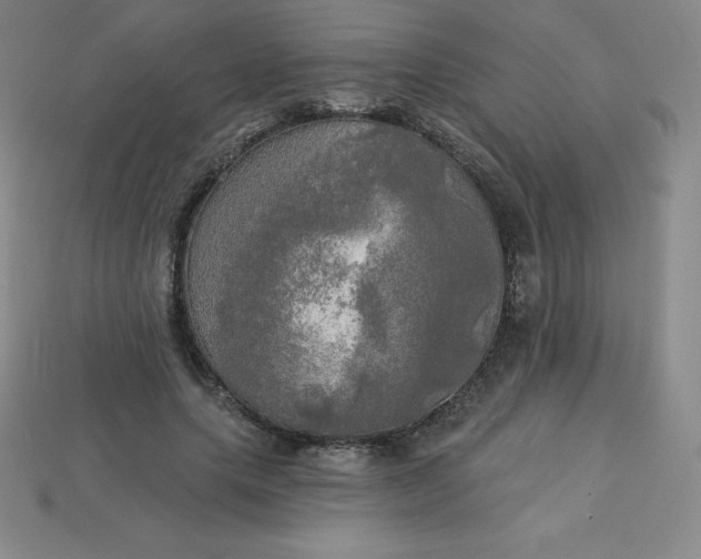 X0000113920639200910090937