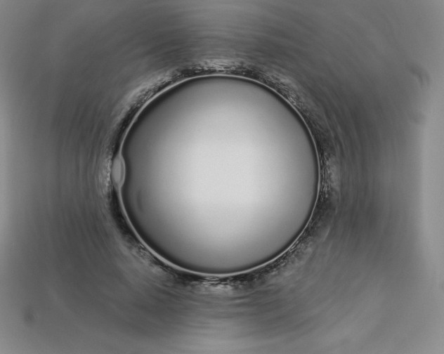 X0000113920640200910090937