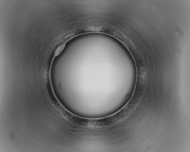 X0000113920641200910090937