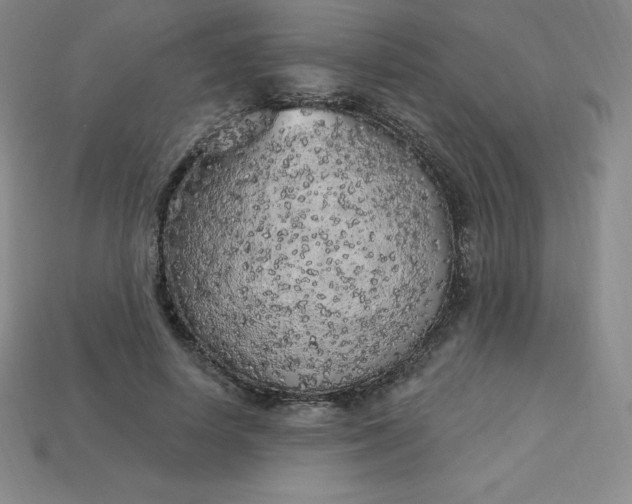X0000113920642200910090937