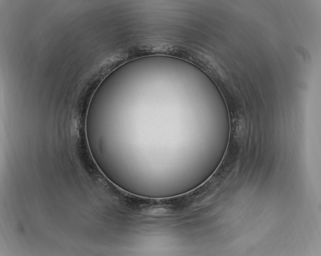 X0000113920643200910090937