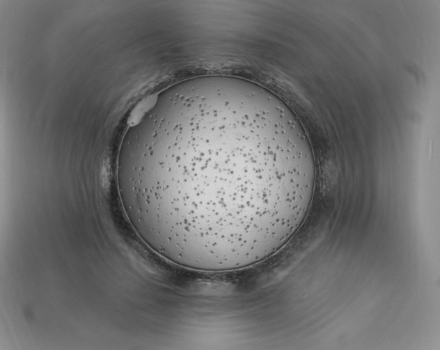 X0000113920644200910090937