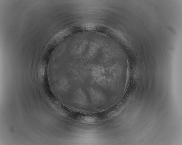 X0000113920645200910090937