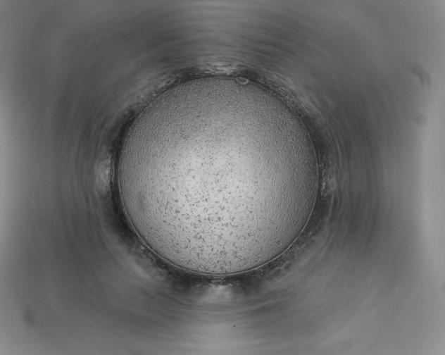 X0000113920647200910090937