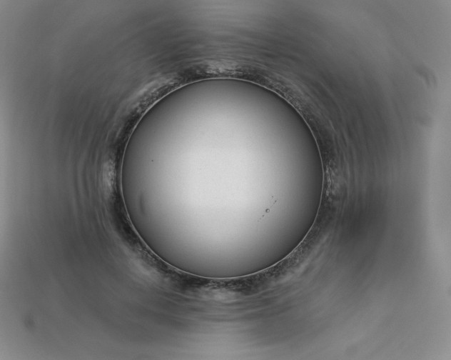 X0000113920648200910090937