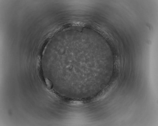 X0000113920649200910090937