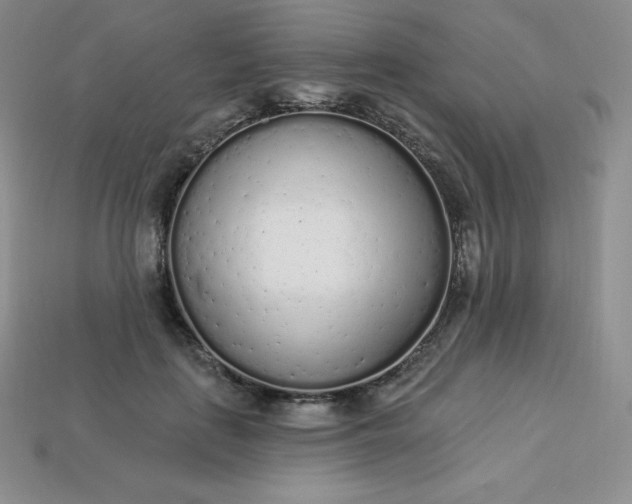 X0000113920651200910090937
