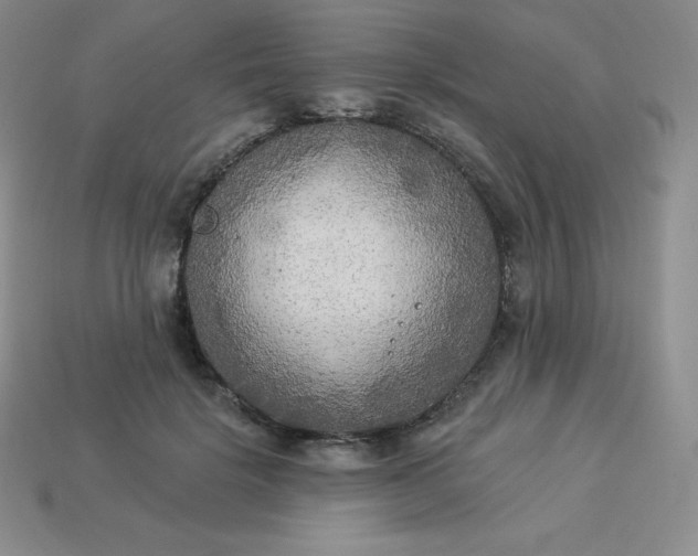 X0000113920652200910090937