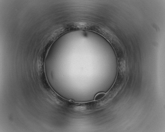 X0000113920653200910090937
