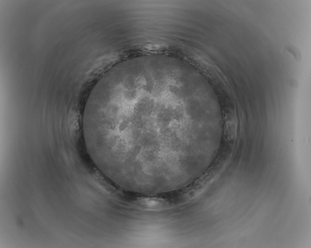 X0000113920654200910090937