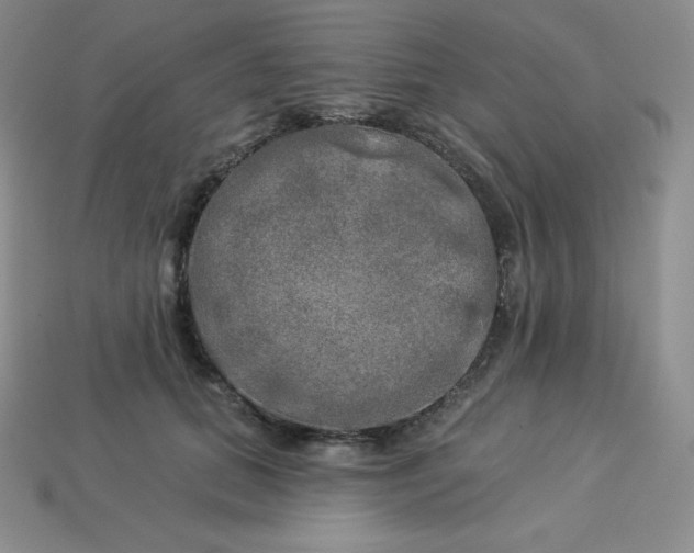 X0000113920655200910090937