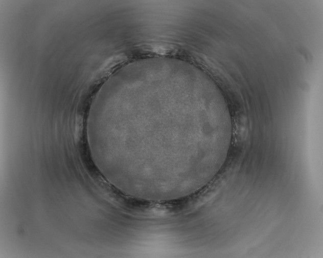 X0000113920656200910090937