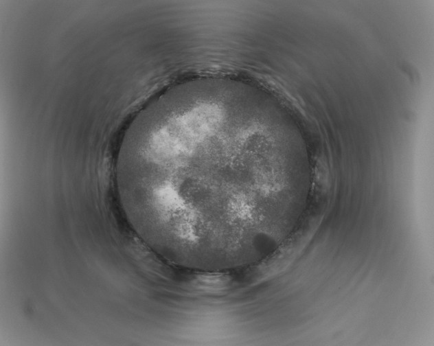 X0000113920659200910090937