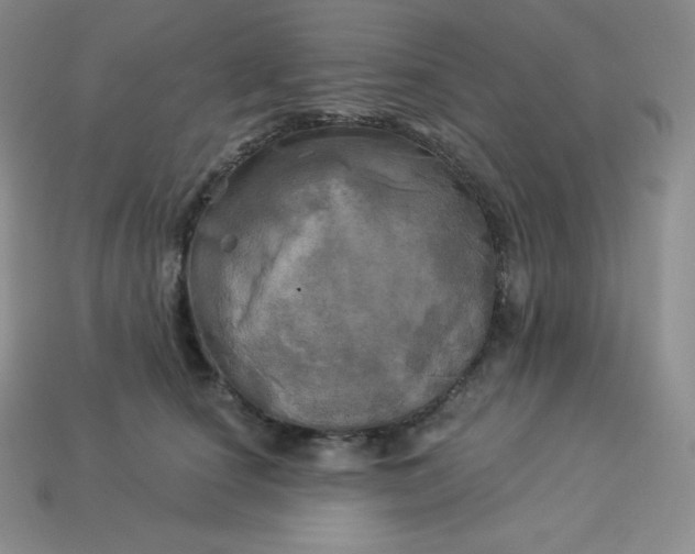 X0000113920660200910090937