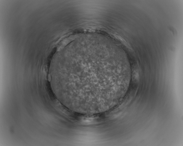 X0000113920661200910090937