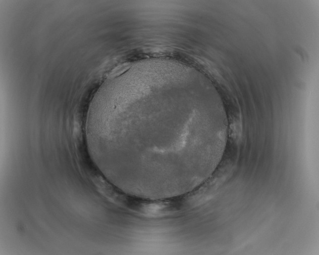 X0000113920662200910090937