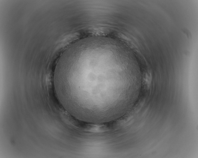 X0000113920663200910090937