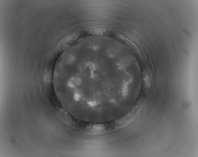 X0000113920665200910090937