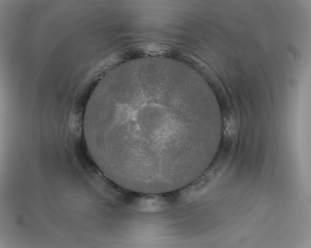 X0000113920666200910090937