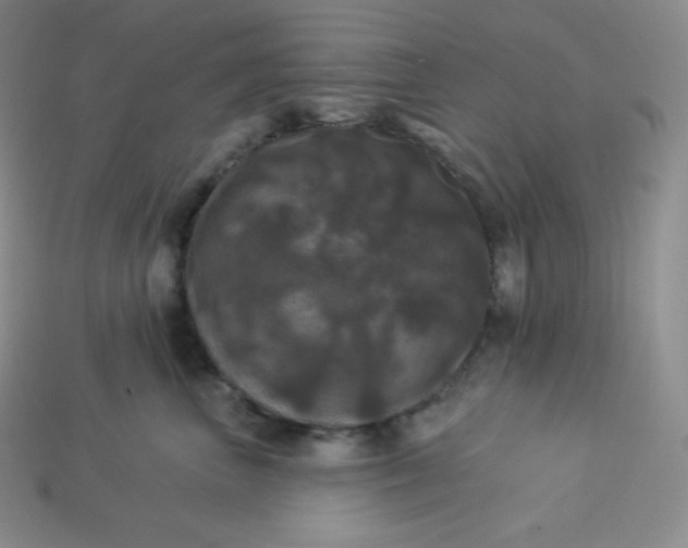 X0000113920667200910090937