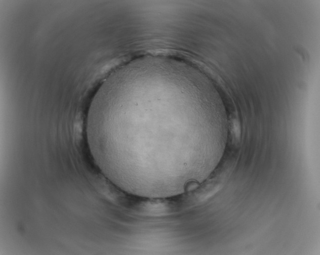 X0000113920668200910090937