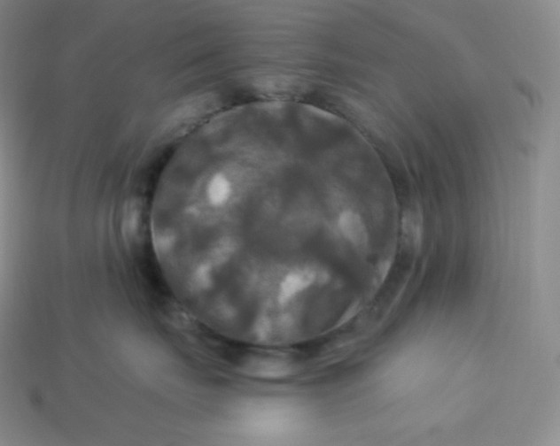 X0000113920671200910090937
