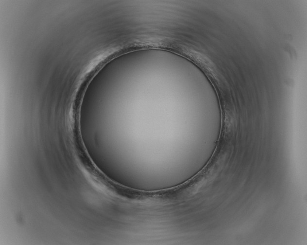 X0000113920674200910090937