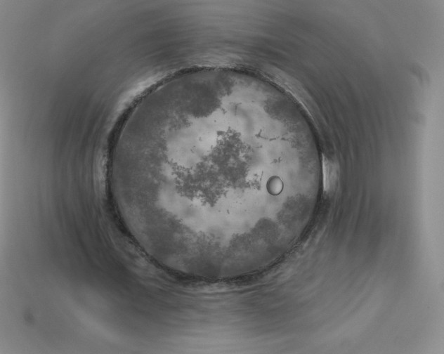 X0000113920675200910090937