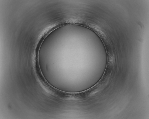 X0000113920678200910090937