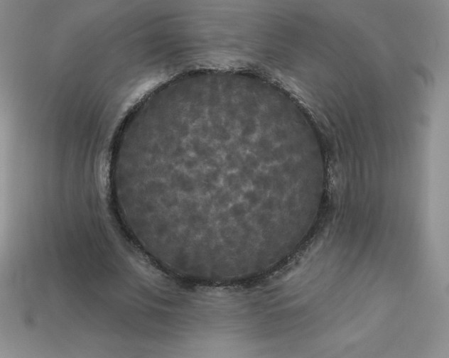 X0000113920679200910090937