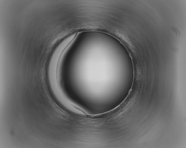 X0000113920681200910090937