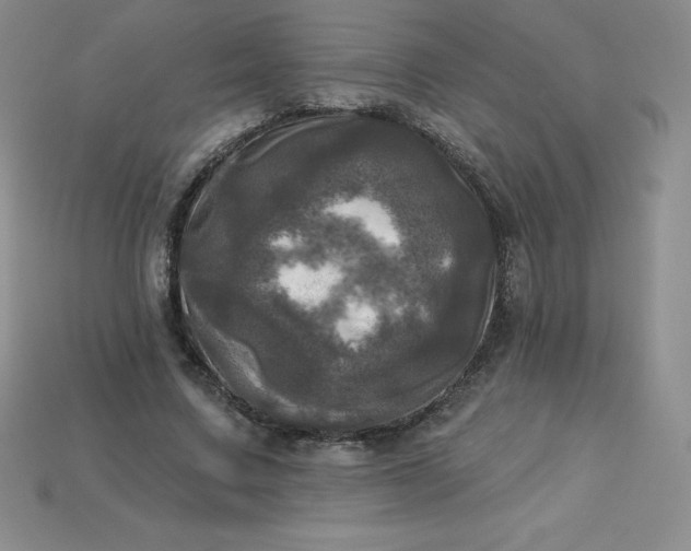 X0000113920683200910090936