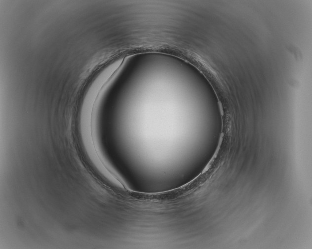X0000113920685200910090936