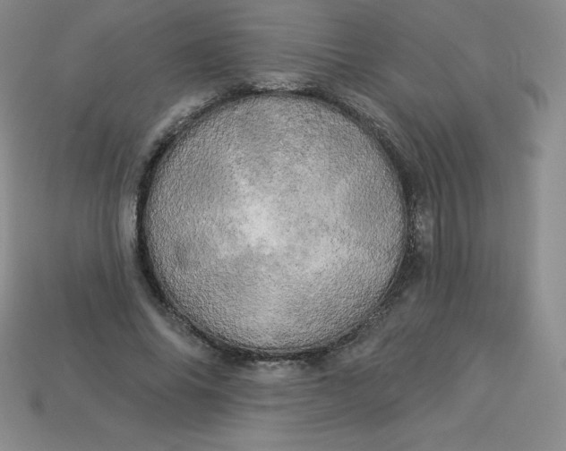 X0000113920686200910090936