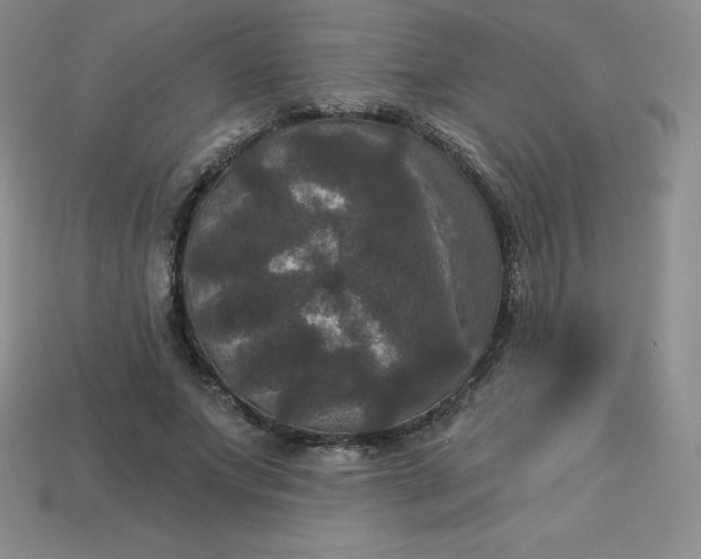 X0000113920687200910090936