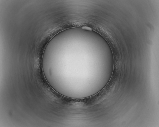 X0000113920689200910090936