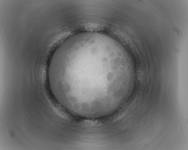 X0000113920690200910090936