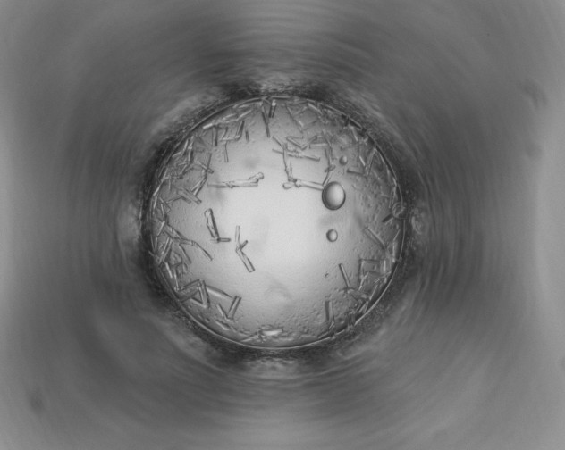 X0000113920691200910090936