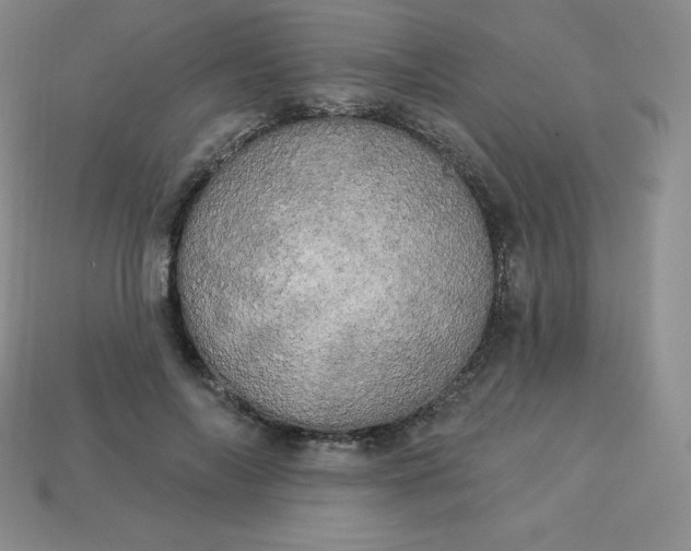 X0000113920694200910090936