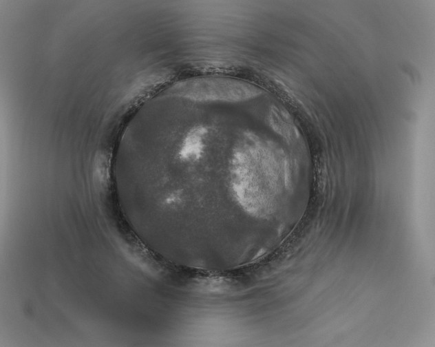 X0000113920695200910090936