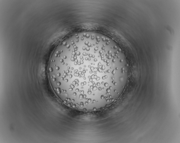 X0000113920696200910090936