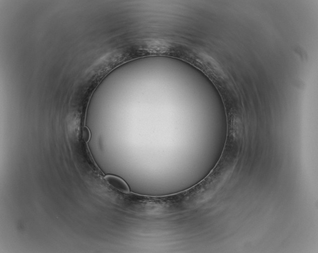 X0000113920697200910090936